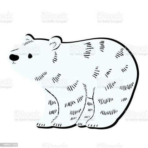 Stencilstyle Handdrawn Illustration Of A White Bear In A Sideways