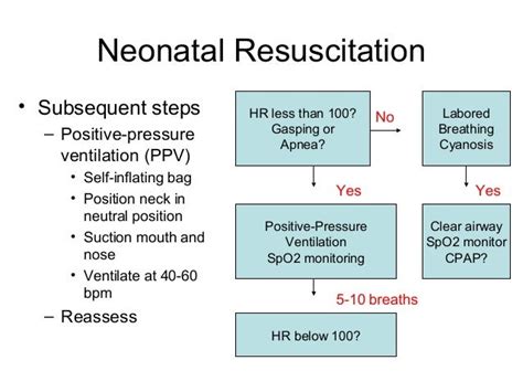 Neonatal Resuscitation Dr Wylie 71714