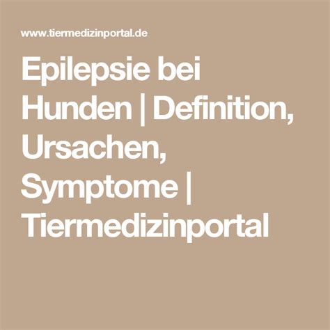 Epilepsie Ursachen Und Symptome Ndrde Ratgeber