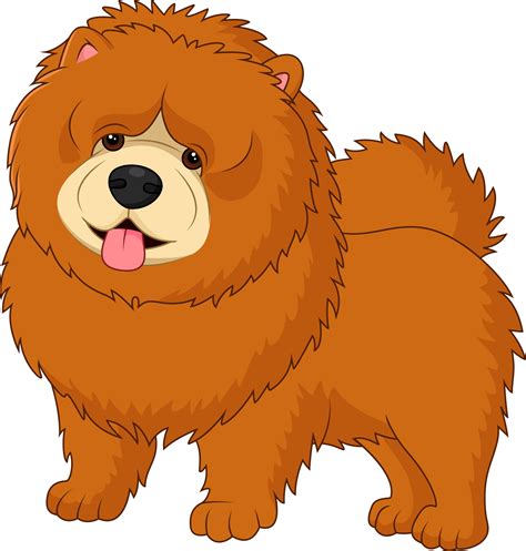 Chow Chow Dog Breed 8734488 Vector Art At Vecteezy
