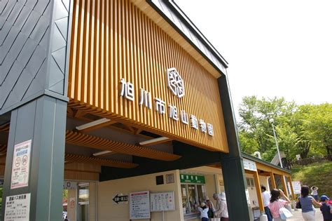 Taking A Trip To The Asahiyama Zoo Of Asahikawa Japan Yabai The