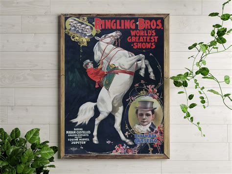 Affiche vintage de cirque - affiche de cirque cheval blanc #443 cirque - affiche cirque ...