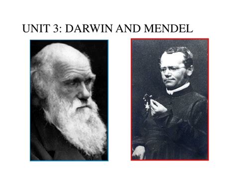 Ppt Unit 3 Darwin And Mendel Powerpoint Presentation Free Download