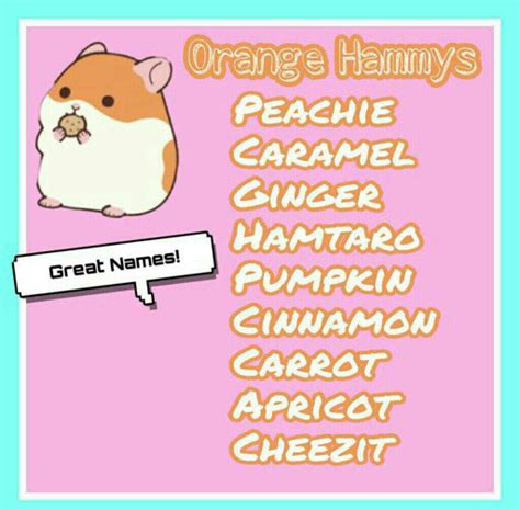 Adorable Hamster Names🐹🐹🐹 Hamsters Amino