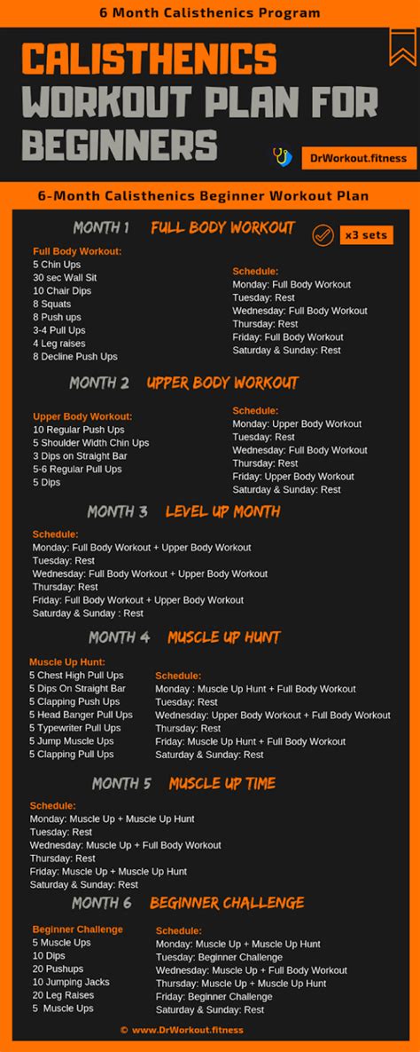 Calisthenics Workout Plan For Beginners 6 Month Program With Pdf