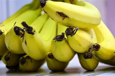 Nah, ini nih jenis pisang yang paling mudah ditemui di pasaran. Nama Latin Pisang Lengkap dengan Jenis-jenisnya - CTM