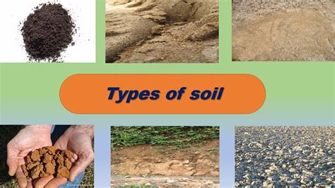 Maybe you would like to learn more about one of these? Soil types for kids. Learn types of soil. - YouTube