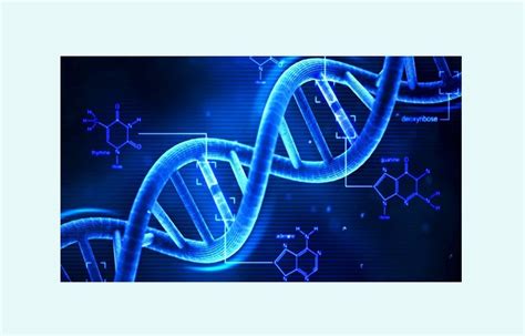 DNA Pengertian Fungsi Sifat Replikasi Jegeristik