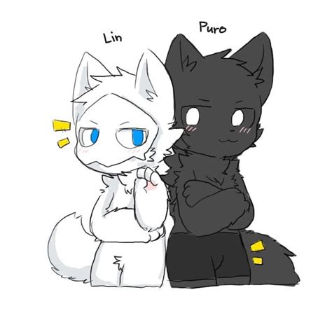 Pin On Cat