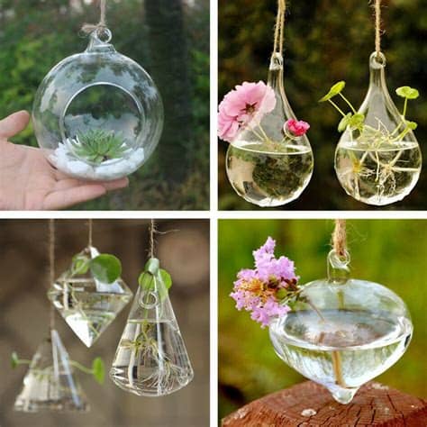Glass vases, floor vases, ceramic vases and other form of vases are cherished forms of home decor used in india. Luxury Hanging Glass Flower Plant Vase Terrarium Container ...