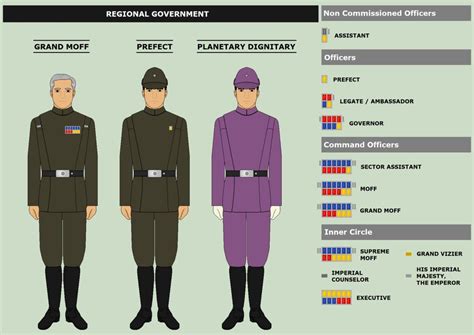 Rank Insignia Right And Some Visual Examples Left Of The Hierarchy