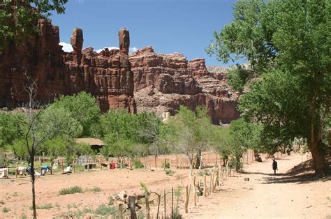 Havasupai Remains The First Language On The Remote Reservation In Grand