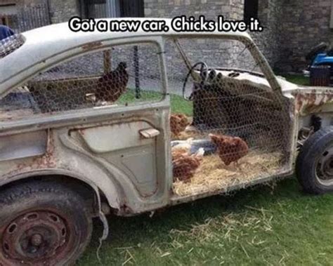 20 Very Funny Animal Memes Doozy List