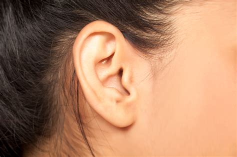 Female Ear Stock Photo Download Image Now Istock