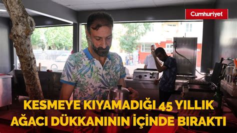 Kesmeye Kıyamadığı 45 Yıllık Ağacı Dükkanının Içinde Bıraktı Youtube