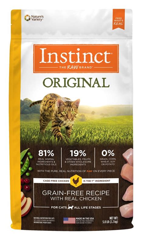 We've thoroughly analyzed and reviewed dozens of dry cat food. 11 Best Soft Dry Cat Food Reviewed in March 2020