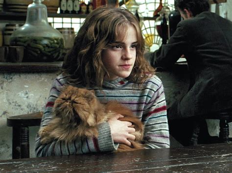 The Secret Meanings Behind The Harry Potter Character Names