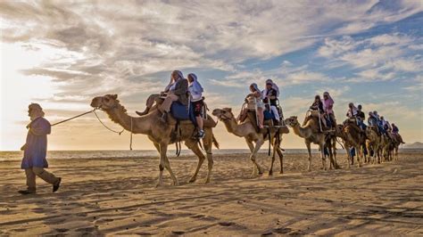 ¿cuánto Cuesta Un Paseo En Camello En Los Cabos Baja California El