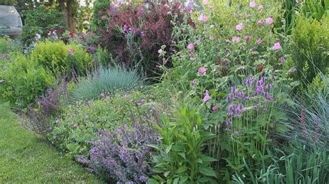 Garden Expert Shares 8 Tips For A Perfect Perennial Border