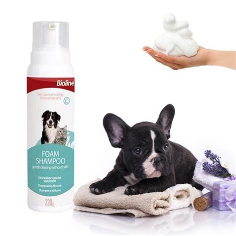 Fur shedding or patchiness can both be a consequence of using a wet shampoo or dry shampoo not suitable for pets. French Bulldog Grooming, Shedding, And Bathing - Frenchie ...