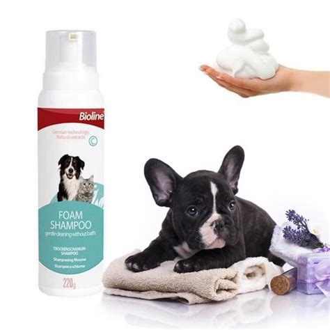 Fur shedding or patchiness can both be a consequence of using a wet shampoo or dry shampoo not suitable for pets. French Bulldog Grooming, Shedding, And Bathing - Frenchie ...