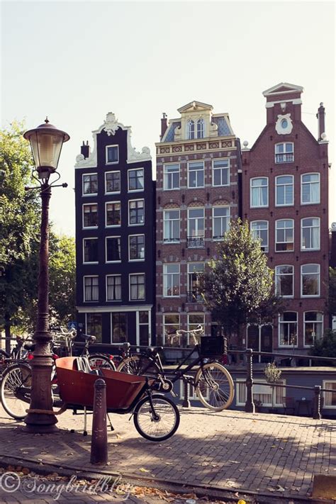 Our one Day Amsterdam Trip - Songbird
