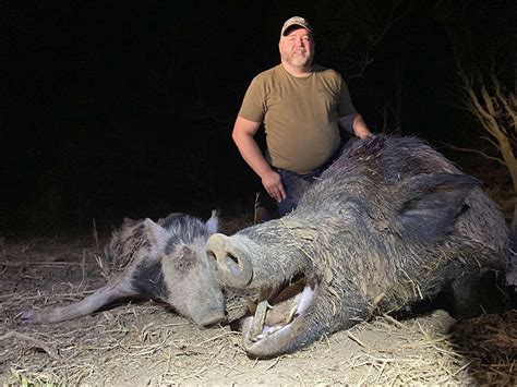 Oklahoma Wild Hog Hunts Oklahoma Hog Hunting Outfitters