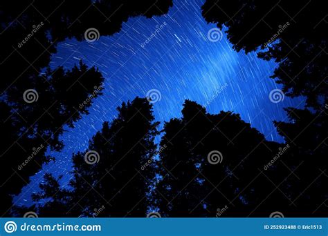 Stars In Night Sky Milky Way Milkyway With Silhouette Pine Trees