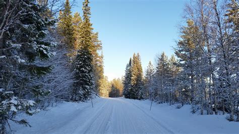 Free Images Tree Forest Mountain Snow Frost Country Road