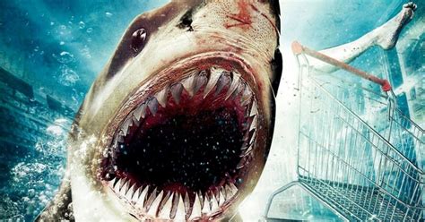 ranking 7 najlepszych filmów o rekinach blaber