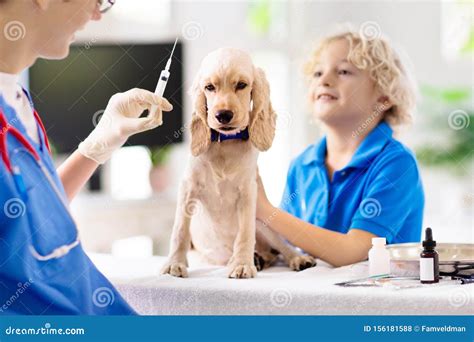 226 Doctor Kids Veterinarian Stock Photos Free And Royalty Free Stock