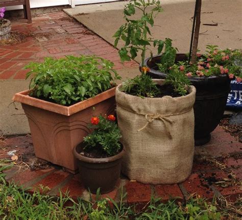 5 Gallon Bucket To Planter Cute Garden Ideas Cheap Planters