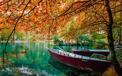 Wallpaper Sunlight Trees Landscape Fall Leaves Boat Lake Water