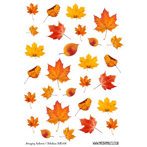 Amazing Autumn Leaf Stickers 008 Mrsbrimbles