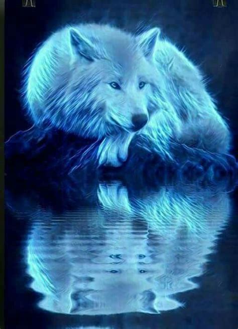 Water Shadow Wolf Aqua Neon Tier Wallpaper Wolf Wallpaper Animal