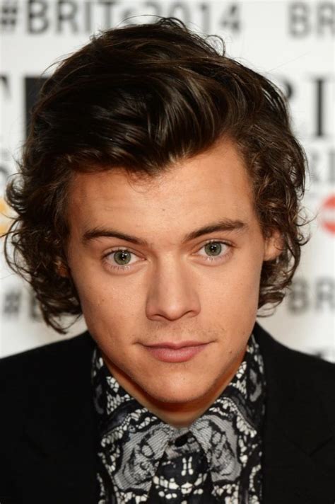Harry Styles Facts 14 Things You Might Not Know About The One