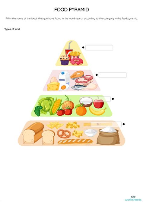 Food Pyramid Interactive Worksheet Topworksheets