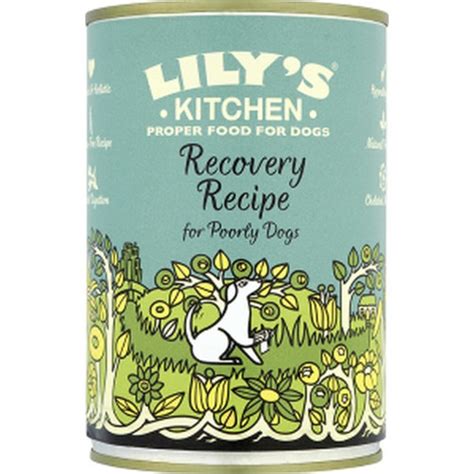 Lilys Kitchen Recovery Recipe 400g