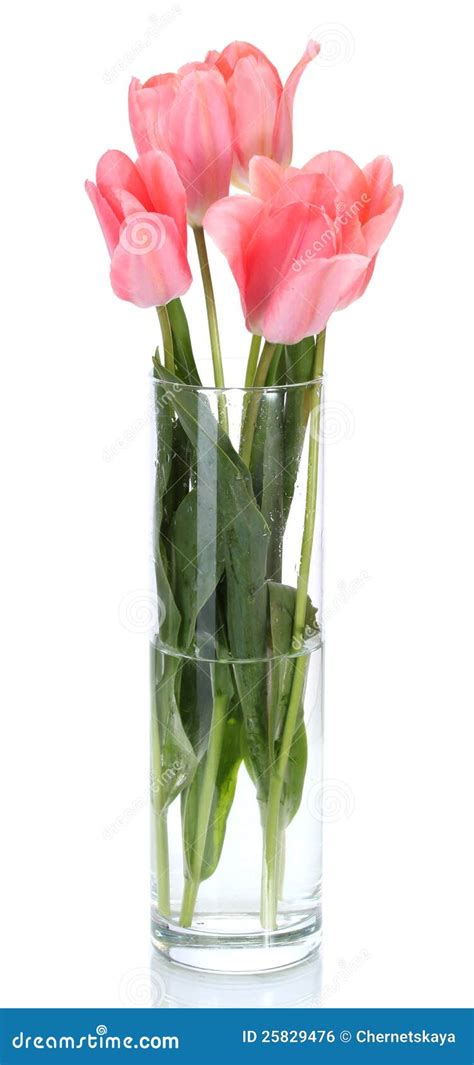 Beautiful Pink Tulips In Glass Vase Royalty Free Stock Image Image 25829476