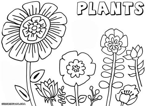 Plant coloring pages | Coloring pages to download and print
