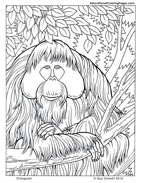 Nature Coloring Pages Animal Coloring Pages For Kids