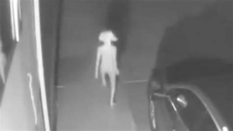Odd Creature Caught On Security Camera And Internet Has Thoughts