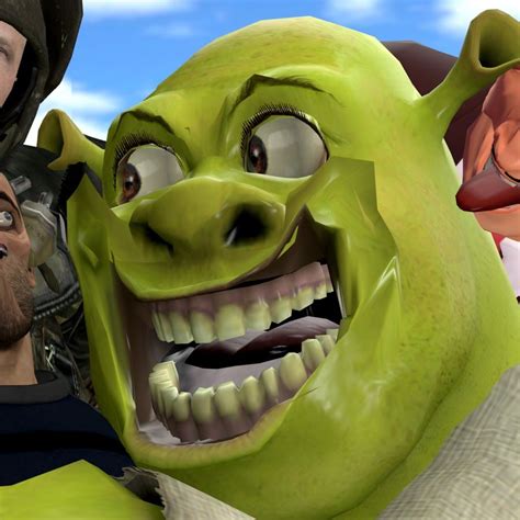 Shrek Profile Memes