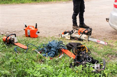 Near you 20+ stump removal services near you. Pruning,Tree service,Arborist near me,Tree pruning,Shawnee