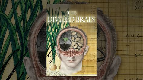 The Divided Brain Youtube