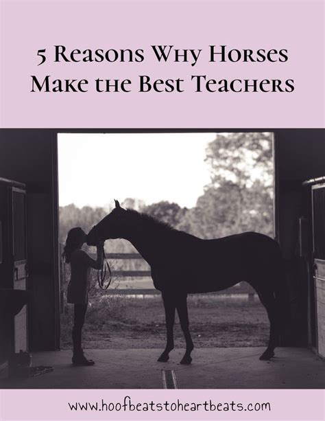 5 Reasons Why Horses Make The Best Teachers Best Teacher Horses How