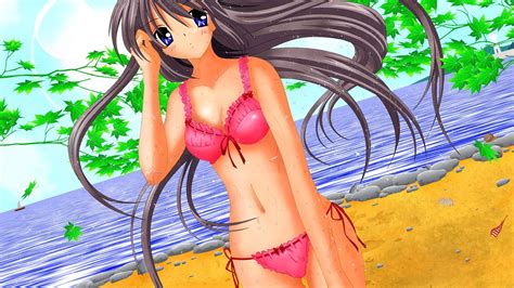 Wallpaper Model Long Hair Anime Girls Blue Eyes Brunette Looking At Viewer Beach Black