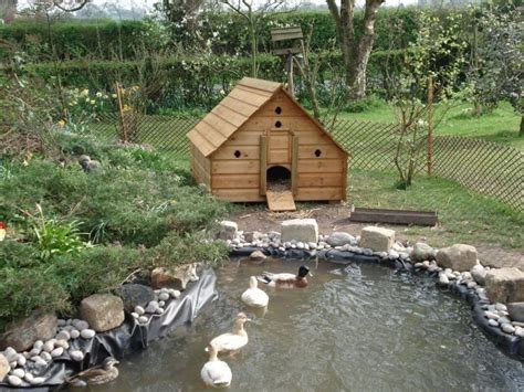 25 Awesome Diy Backyard Duck Pond Ideas And Designs For 2023 Ponds