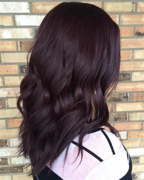 Vind fantastische aanbiedingen voor black purple hair. 35 Bold and Provocative Dark Purple Hair Color Ideas