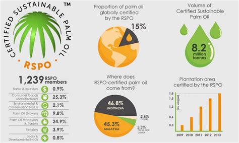 Knowledge Corner Everything You Need To Know About Sustainable Palm Oil Stephenson